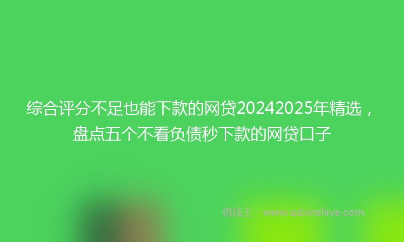 综合评分不足也能下款的网贷20242025年精选，盘点五个不看负债秒下款的网贷口子