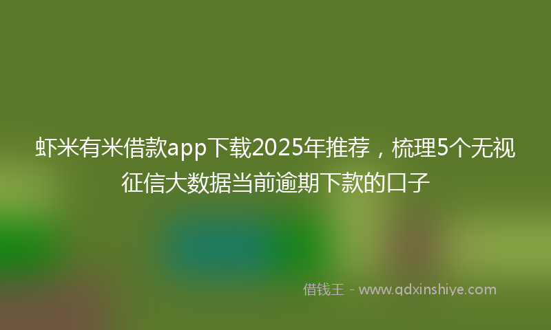 虾米有米借款app下载2025年推荐，梳理5个无视征信大数据当前逾期下款的口子
