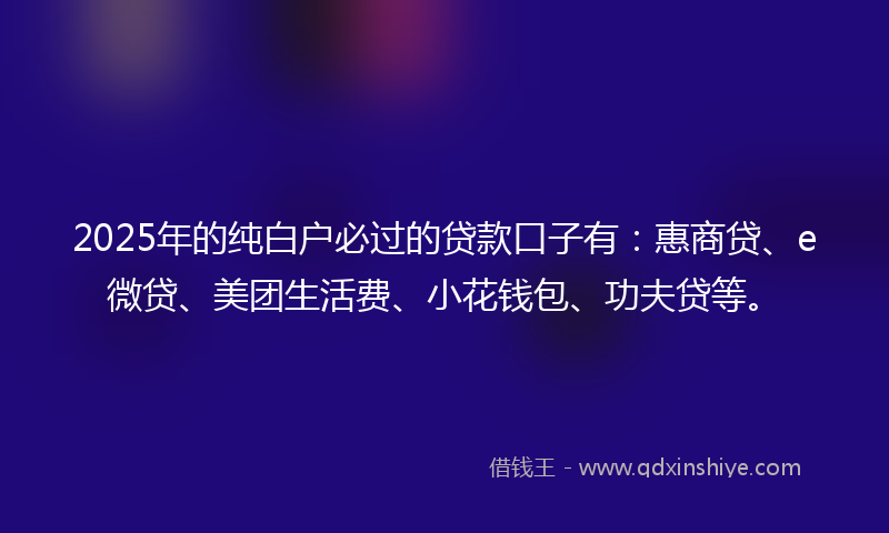 2025年的纯白户必过的贷款口子有：惠商贷、e微贷、美团生活费、小花钱包、功夫贷等。