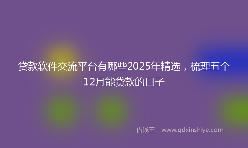 贷款软件交流平台有哪些2025年精选，梳理五个12月能贷款的口子
