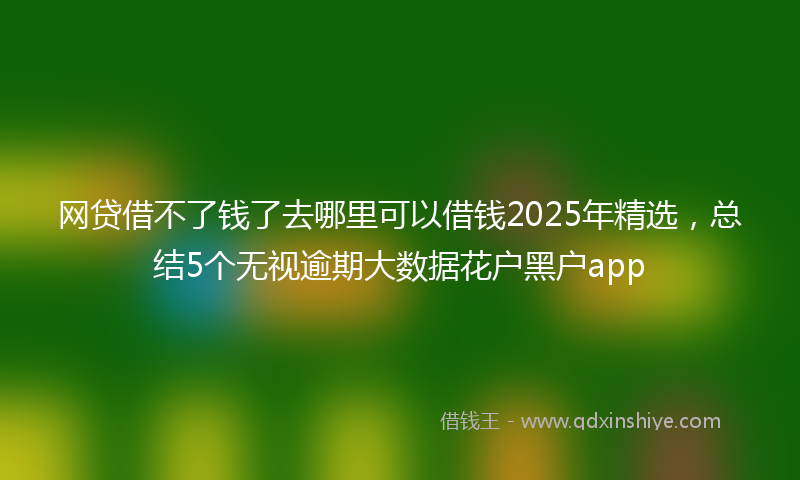 网贷借不了钱了去哪里可以借钱2025年精选，总结5个无视逾期大数据花户黑户app