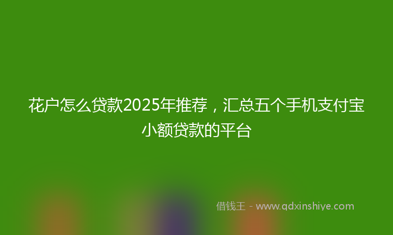 花户怎么贷款2025年推荐，汇总五个手机支付宝小额贷款的平台
