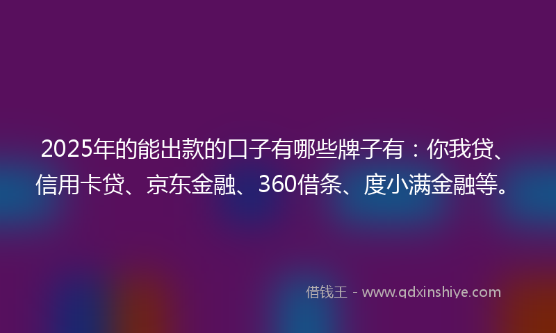 2025年的能出款的口子有哪些牌子有：你我贷、信用卡贷、京东金融、360借条、度小满金融等。