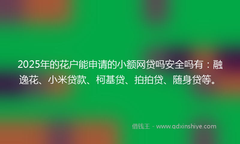 2025年的花户能申请的小额网贷吗安全吗有：融逸花、小米贷款、柯基贷、拍拍贷、随身贷等。