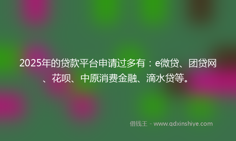 2025年的贷款平台申请过多有：e微贷、团贷网、花呗、中原消费金融、滴水贷等。
