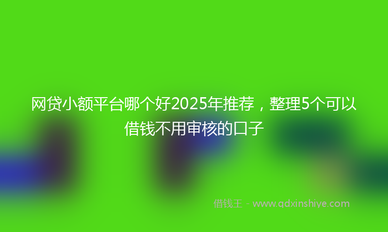 网贷小额平台哪个好2025年推荐，整理5个可以借钱不用审核的口子