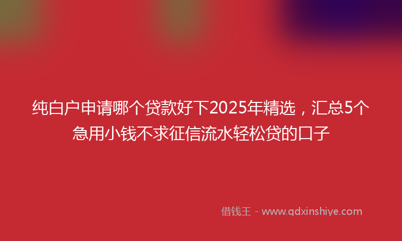 纯白户申请哪个贷款好下2025年精选，汇总5个急用小钱不求征信流水轻松贷的口子