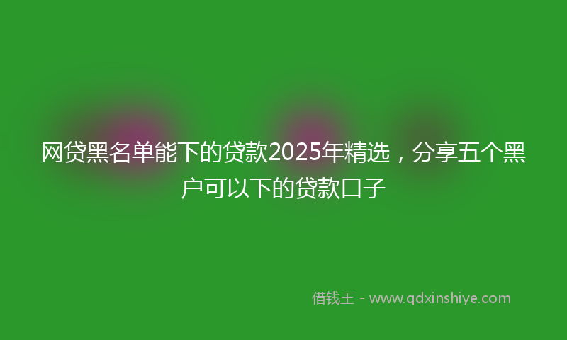 网贷黑名单能下的贷款2025年精选，分享五个黑户可以下的贷款口子