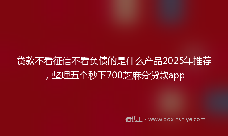 贷款不看征信不看负债的是什么产品2025年推荐，整理五个秒下700芝麻分贷款app