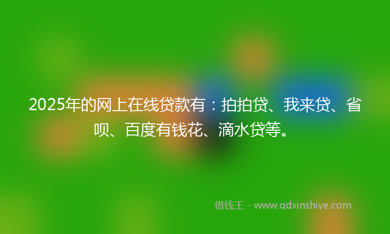 2025年的网上在线贷款有：拍拍贷、我来贷、省呗、百度有钱花、滴水贷等。