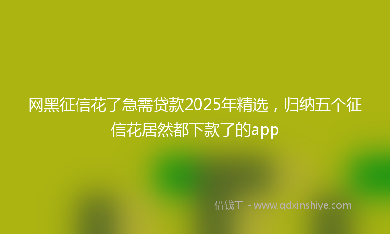 网黑征信花了急需贷款2025年精选，归纳五个征信花居然都下款了的app