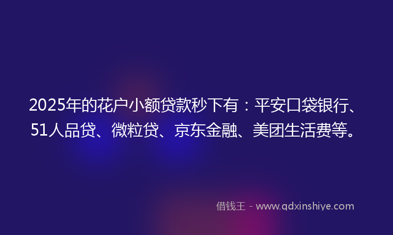 2025年的花户小额贷款秒下有：平安口袋银行、51人品贷、微粒贷、京东金融、美团生活费等。