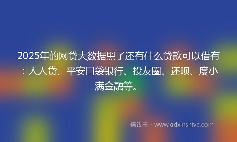 2025年的网贷大数据黑了还有什么贷款可以借有：人人贷、平安口袋银行、投友圈、还呗、度小满金融等。