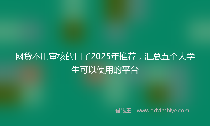 网贷不用审核的口子2025年推荐，汇总五个大学生可以使用的平台