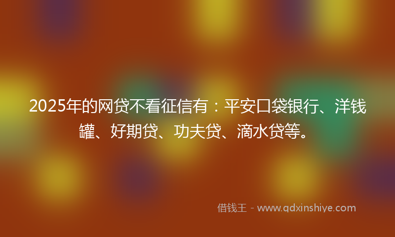 2025年的网贷不看征信有：平安口袋银行、洋钱罐、好期贷、功夫贷、滴水贷等。