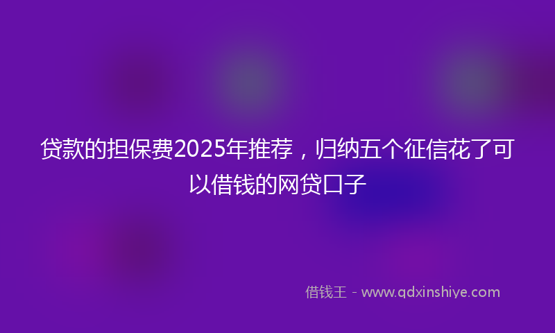 贷款的担保费2025年推荐，归纳五个征信花了可以借钱的网贷口子
