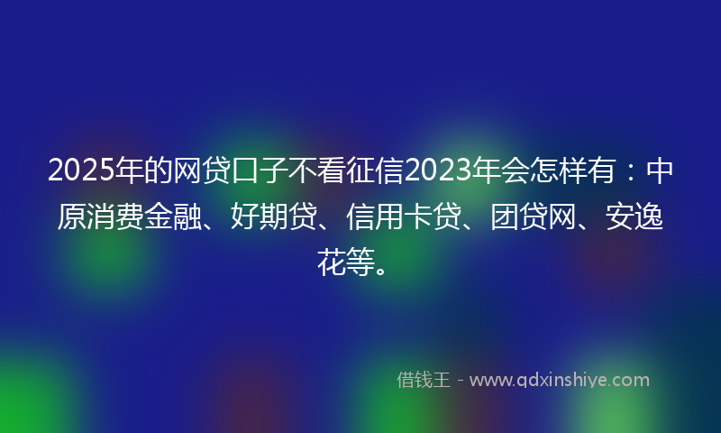 2025年的网贷口子不看征信2023年会怎样有：中原消费金融、好期贷、信用卡贷、团贷网、安逸花等。