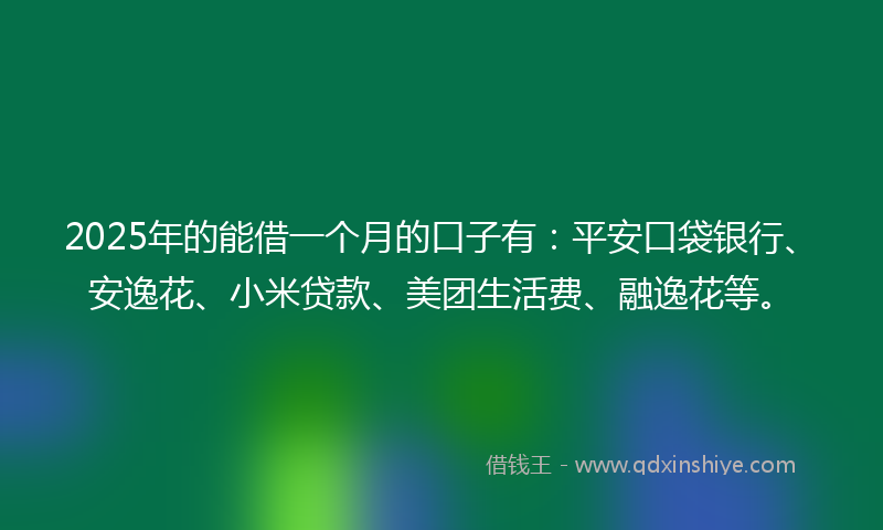 2025年的能借一个月的口子有：平安口袋银行、安逸花、小米贷款、美团生活费、融逸花等。