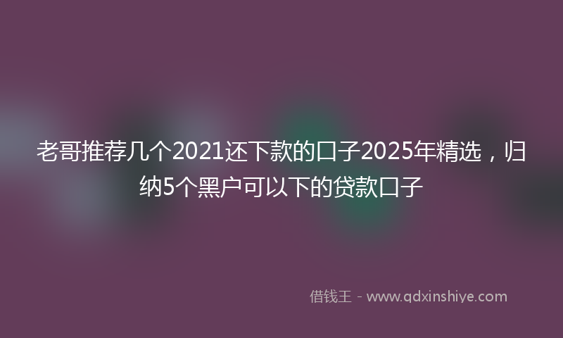 老哥推荐几个2021还下款的口子2025年精选，归纳5个黑户可以下的贷款口子