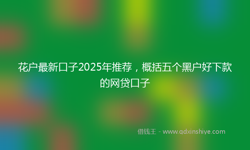 花户最新口子2025年推荐，概括五个黑户好下款的网贷口子