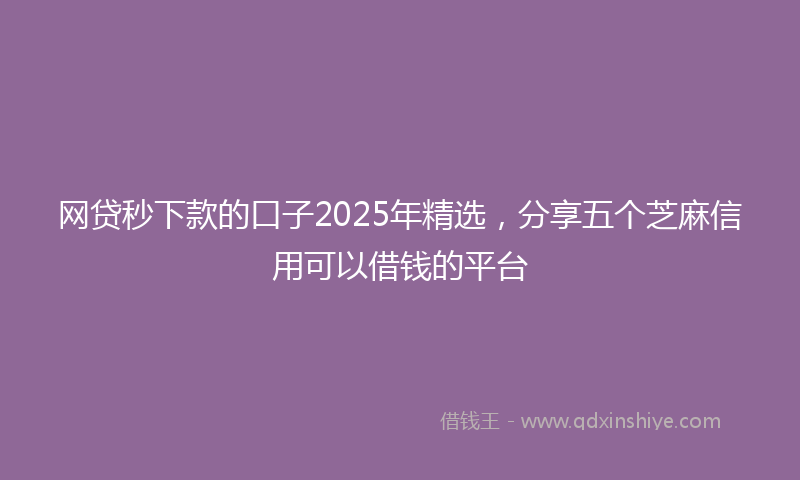 网贷秒下款的口子2025年精选，分享五个芝麻信用可以借钱的平台
