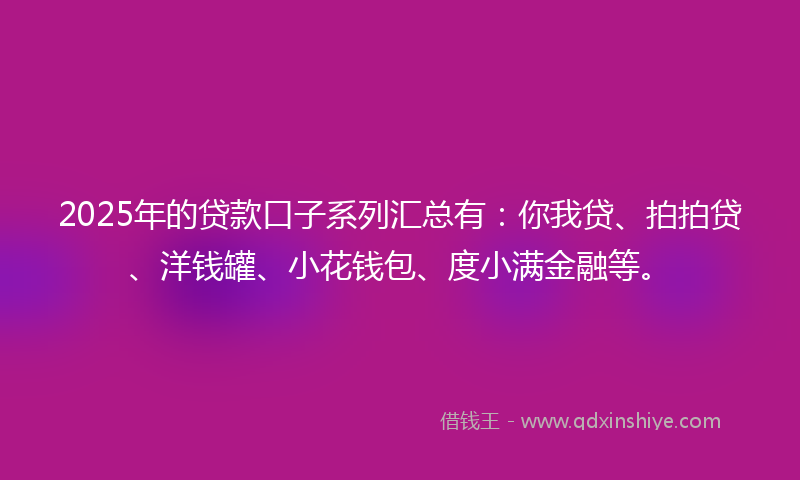2025年的贷款口子系列汇总有：你我贷、拍拍贷、洋钱罐、小花钱包、度小满金融等。