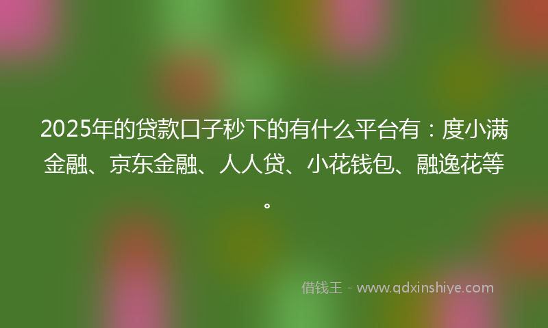 2025年的贷款口子秒下的有什么平台有：度小满金融、京东金融、人人贷、小花钱包、融逸花等。