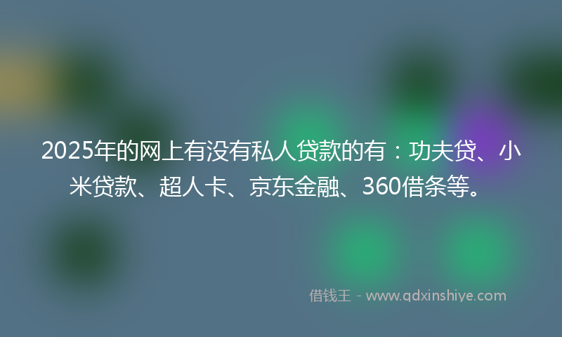 2025年的网上有没有私人贷款的有：功夫贷、小米贷款、超人卡、京东金融、360借条等。