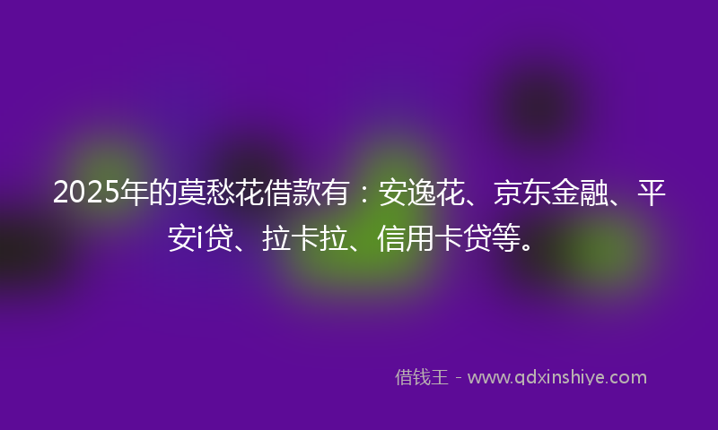 2025年的莫愁花借款有：安逸花、京东金融、平安i贷、拉卡拉、信用卡贷等。