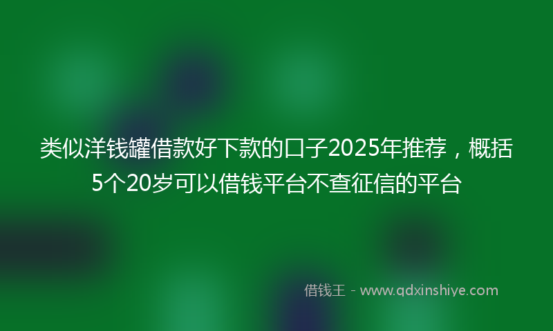 类似洋钱罐借款好下款的口子2025年推荐，概括5个20岁可以借钱平台不查征信的平台