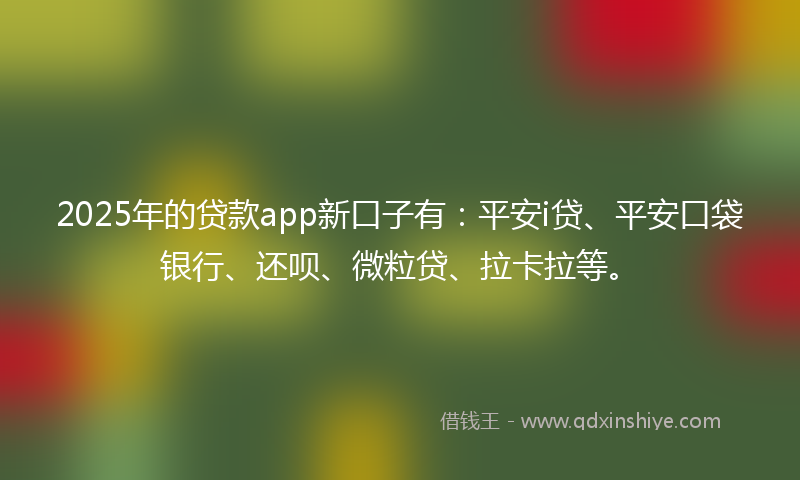 2025年的贷款app新口子有：平安i贷、平安口袋银行、还呗、微粒贷、拉卡拉等。
