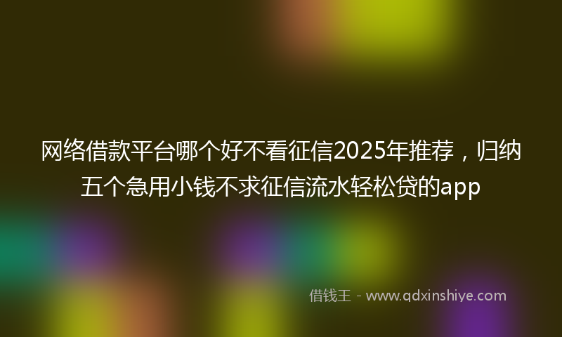 网络借款平台哪个好不看征信2025年推荐，归纳五个急用小钱不求征信流水轻松贷的app