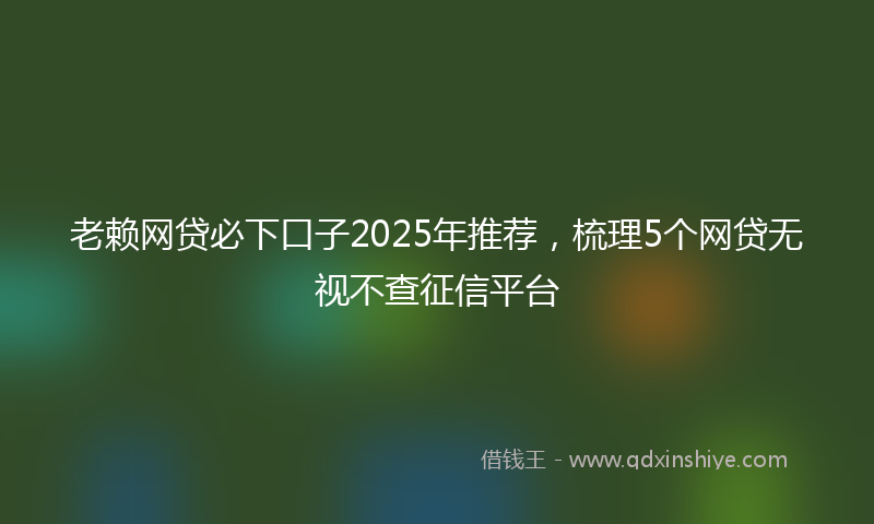 老赖网贷必下口子2025年推荐，梳理5个网贷无视不查征信平台