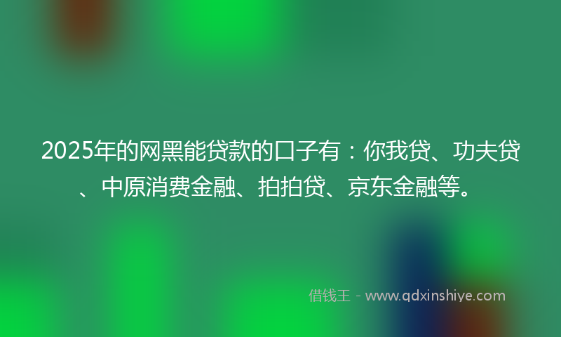 2025年的网黑能贷款的口子有：你我贷、功夫贷、中原消费金融、拍拍贷、京东金融等。