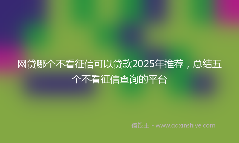 网贷哪个不看征信可以贷款2025年推荐，总结五个不看征信查询的平台
