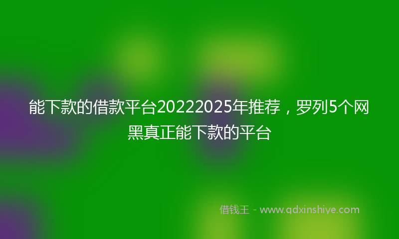 能下款的借款平台20222025年推荐，罗列5个网黑真正能下款的平台