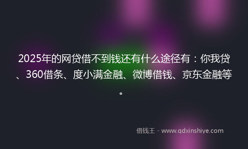 2025年的网贷借不到钱还有什么途径有：你我贷、360借条、度小满金融、微博借钱、京东金融等。