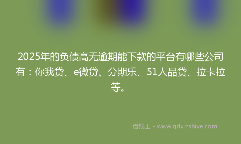 2025年的负债高无逾期能下款的平台有哪些公司有：你我贷、e微贷、分期乐、51人品贷、拉卡拉等。