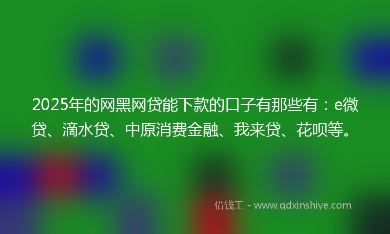 2025年的网黑网贷能下款的口子有那些有：e微贷、滴水贷、中原消费金融、我来贷、花呗等。
