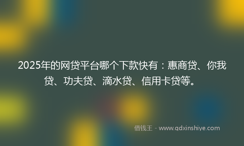 2025年的网贷平台哪个下款快有：惠商贷、你我贷、功夫贷、滴水贷、信用卡贷等。