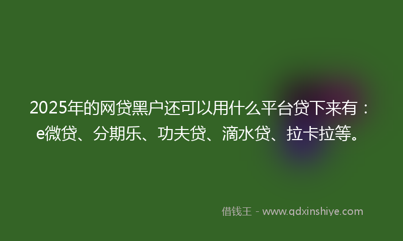 2025年的网贷黑户还可以用什么平台贷下来有：e微贷、分期乐、功夫贷、滴水贷、拉卡拉等。