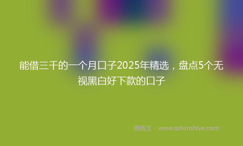 能借三千的一个月口子2025年精选，盘点5个无视黑白好下款的口子
