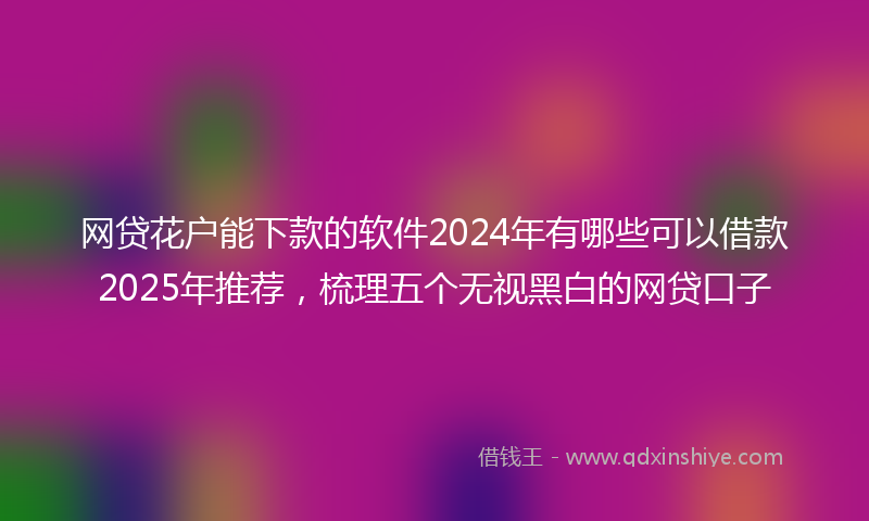 网贷花户能下款的软件2024年有哪些可以借款2025年推荐，梳理五个无视黑白的网贷口子