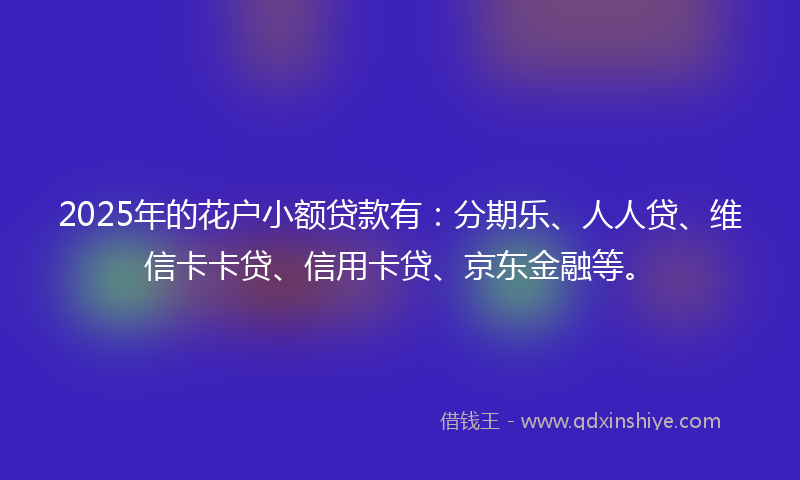 2025年的花户小额贷款有：分期乐、人人贷、维信卡卡贷、信用卡贷、京东金融等。