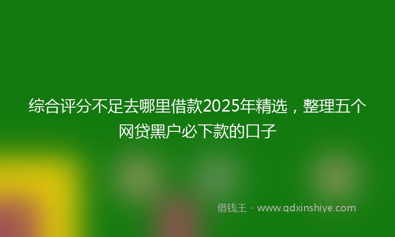 综合评分不足去哪里借款2025年精选，整理五个网贷黑户必下款的口子