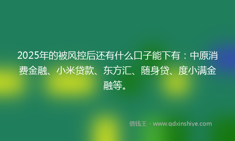 2025年的被风控后还有什么口子能下有：中原消费金融、小米贷款、东方汇、随身贷、度小满金融等。