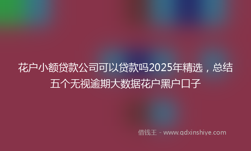 花户小额贷款公司可以贷款吗2025年精选，总结五个无视逾期大数据花户黑户口子