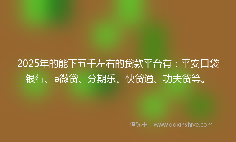 2025年的能下五千左右的贷款平台有：平安口袋银行、e微贷、分期乐、快贷通、功夫贷等。