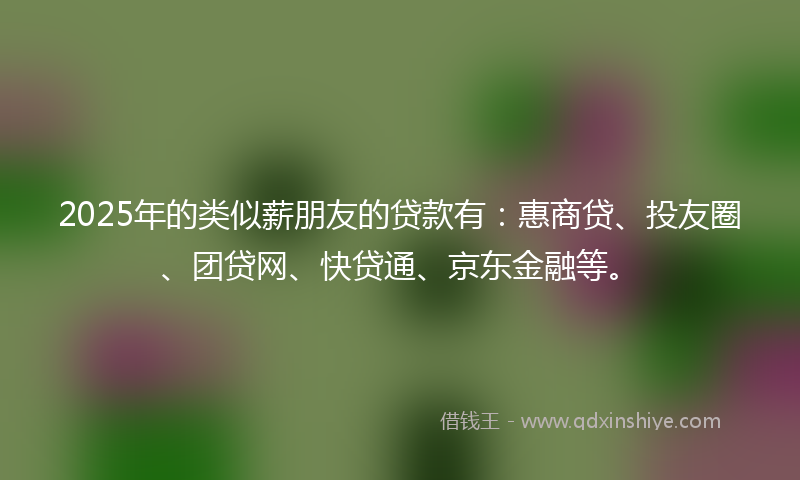 2025年的类似薪朋友的贷款有：惠商贷、投友圈、团贷网、快贷通、京东金融等。
