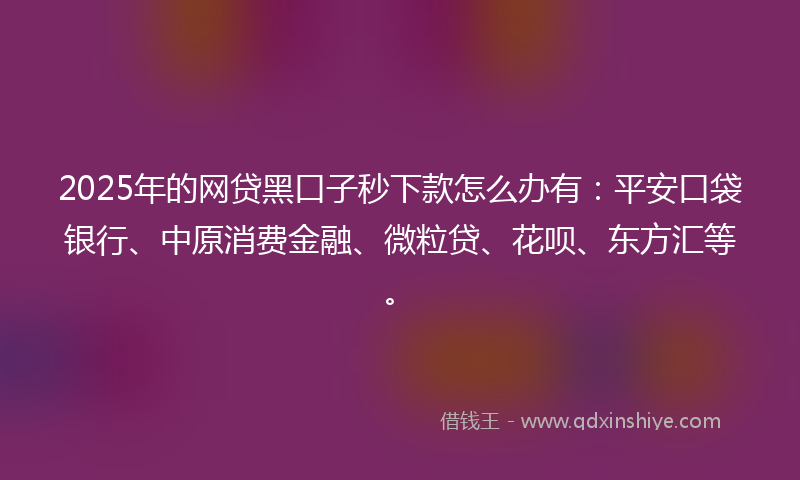 2025年的网贷黑口子秒下款怎么办有：平安口袋银行、中原消费金融、微粒贷、花呗、东方汇等。